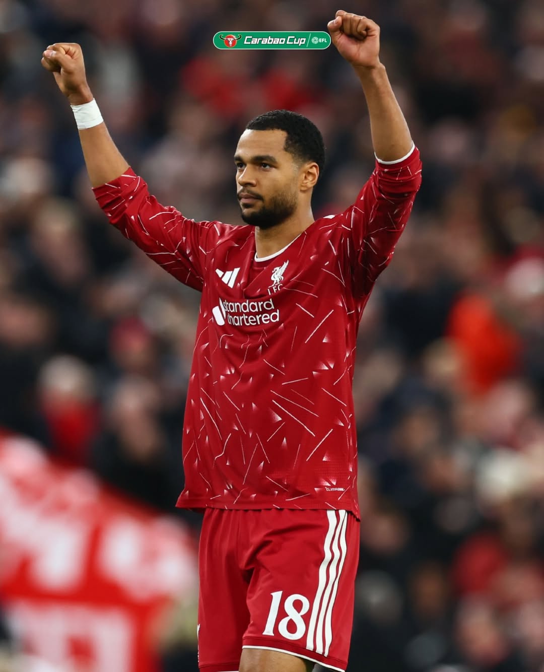 Cody Gakpo celebrates in Liverpool red at Anfield on Wednesday night. Gakpo levelled from the penalty spot in the 43rd minute, his 11th goal in this competition, three minutes after Chelsea had taken the lead the same way.